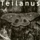 Teilanus
